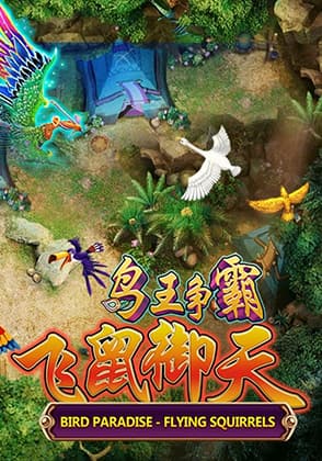Bird Paradise